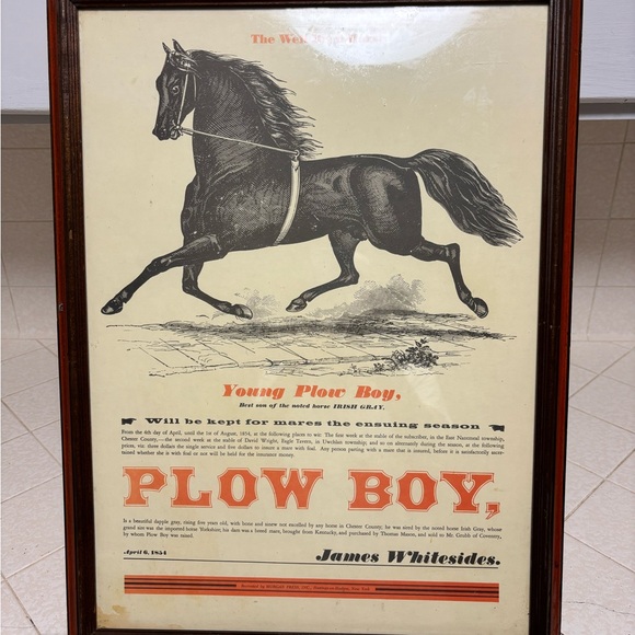 reproduction print framed of an advertisement for a stud horse named 